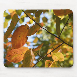 Autumn Leaves Riverside Park New York City NYC Muismat