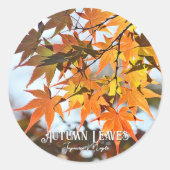 Autumn Leaves Ronde Sticker (Voorkant)
