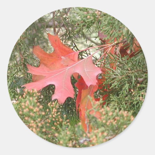 Autumn Leaves Ronde Sticker (Voorkant)