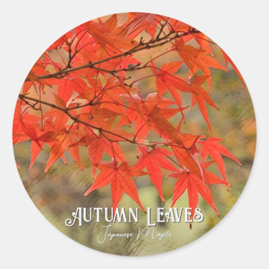 Autumn Leaves Ronde Sticker (Voorkant)