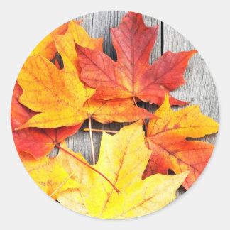 Autumn Leaves Ronde Sticker