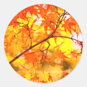 Autumn Leaves [Round Seal] Ronde Sticker (Voorkant)