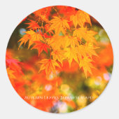 Autumn Leaves [Round Seal] Ronde Sticker (Voorkant)