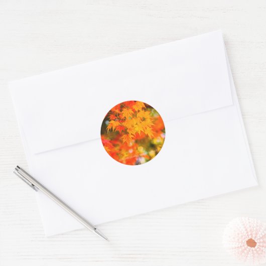 Autumn Leaves [Round Seal] Ronde Sticker (Envelop)