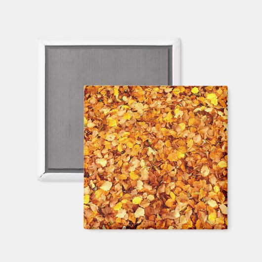 Autumn Leaves Square Magnet (Voorkant / Achterkant)