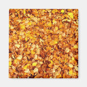 Autumn Leaves Square Magnet (Voorkant)