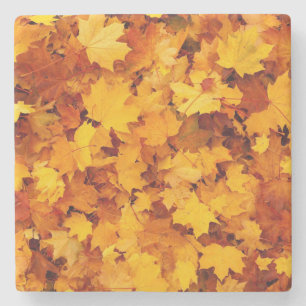 Autumn Leaves Stenen Onderzetter