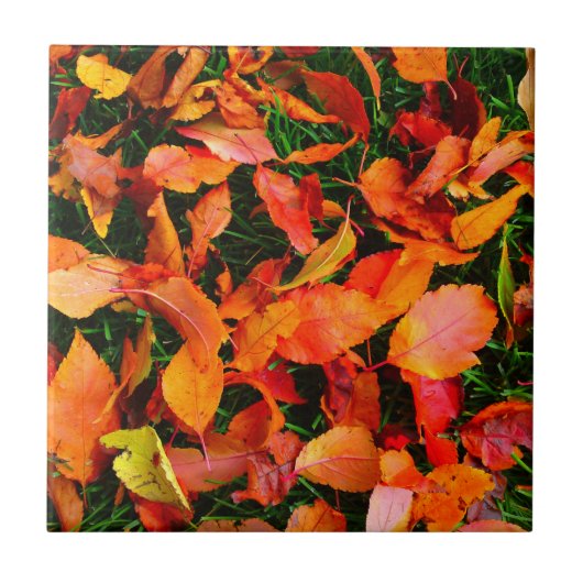 Autumn Leaves Tegel Tegeltje (Voorkant)