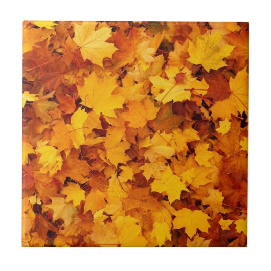 Autumn Leaves Tegeltje (Voorkant)