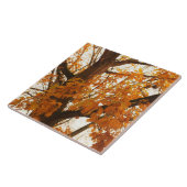 Autumn Leaves Tegeltje (Zijkant)