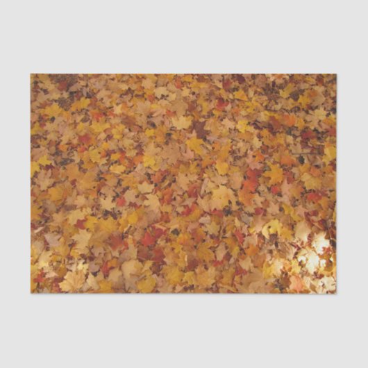 AUTUMN LEAVES TISSUEPAPIER (Voorkant)