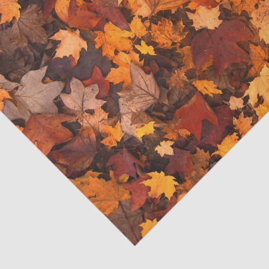 Autumn Leaves Tissuepapier (Detail)