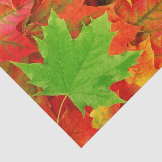 Autumn Leaves Tissuepapier (Detail)