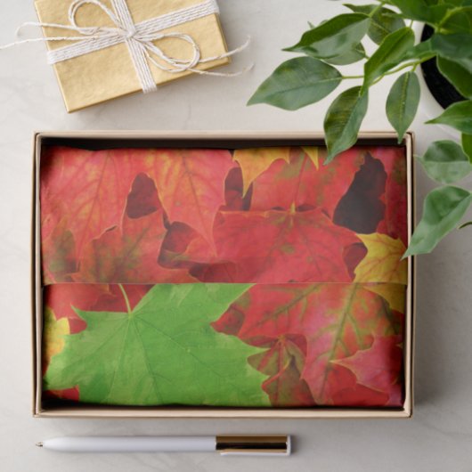 Autumn Leaves Tissuepapier (Geschenk)