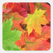 AUTUMN LEAVES VIERKANTE STICKER (Voorkant)