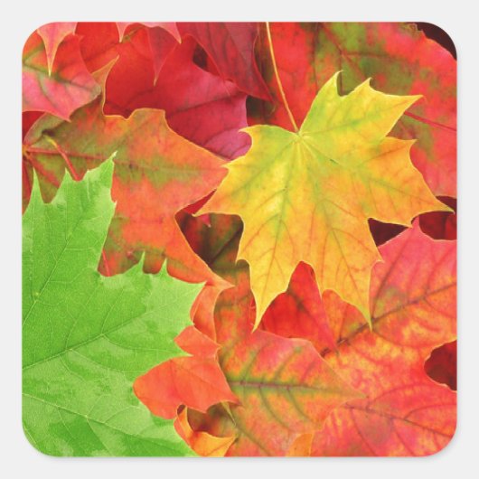 AUTUMN LEAVES VIERKANTE STICKER (Voorkant)