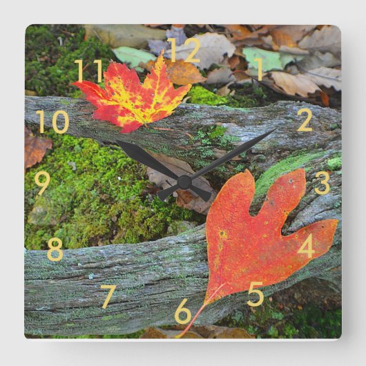 Autumn Leaves Wall Clock Vierkante Klok (Voorkant)