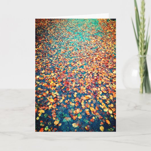 Autumn Leaves Wet Forest Path Kaart (Voorkant)