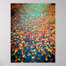 Autumn Leaves Wet Forest Path