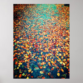 Autumn Leaves Wet Forest Path Poster