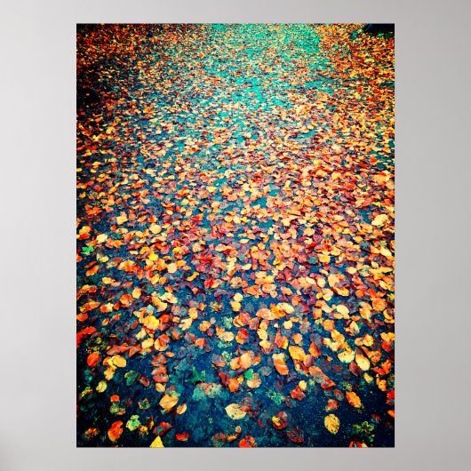 Autumn Leaves Wet Forest Path Poster (Voorkant)