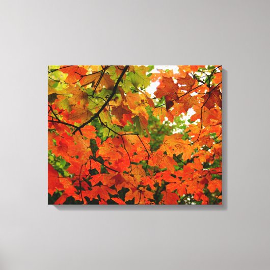 Autumn Leaves Wrapped Canvas Afdruk (Voorkant)