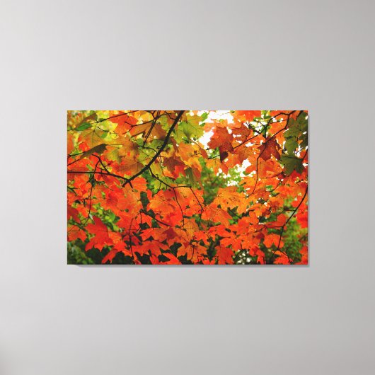 Autumn Leaves Wrapped Canvas Afdruk (Voorkant)