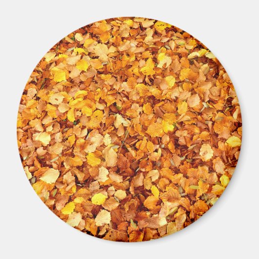 Autumn leest groots Ronde Magnet (Voorkant)