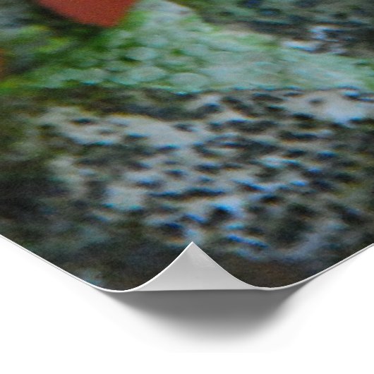 Autumn Lichen Poster (Hoek)