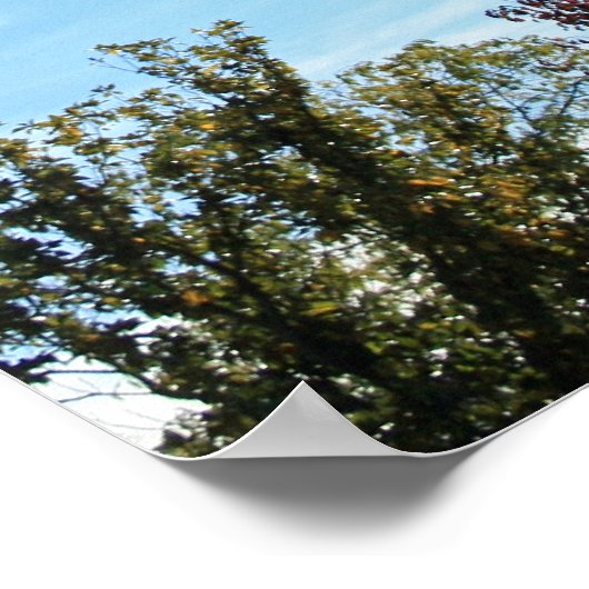 "Autumn Light" Poster (Hoek)