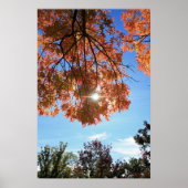 "Autumn Light" Poster (Voorkant)