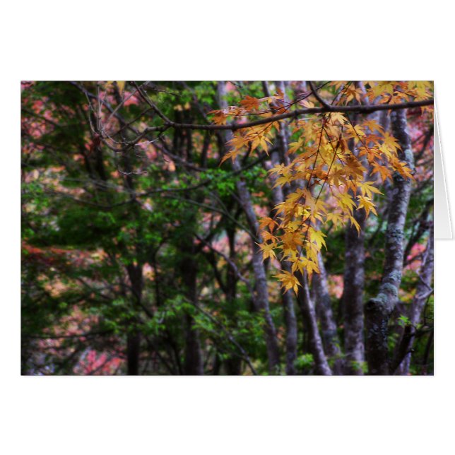 Autumn Love Kaart (Voorkant Horizontaal)