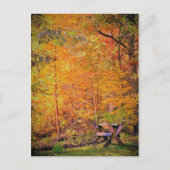 Autumn Magic Briefkaart (Voorkant)