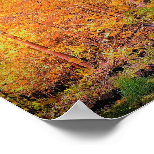 Autumn Magic Poster (Hoek)