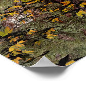 Autumn Magic Poster (Hoek)