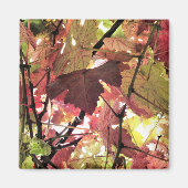 AUTUMN MAGNEET (Voorkant)