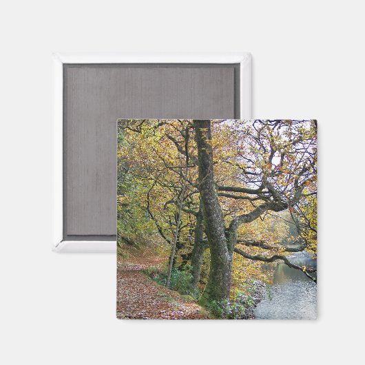 AUTUMN MAGNEET (Voorkant / Achterkant)