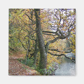 AUTUMN MAGNEET (Voorkant)