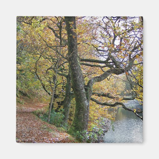 AUTUMN MAGNEET (Voorkant)