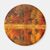 Autumn Magnet (Voorkant)