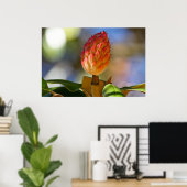 Autumn Magnolia Seed Pod Poster (Thuiskantoor)