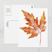 "Autumn Maple #1" Briefkaart voor landwegen (Voorkant / Achterkant)