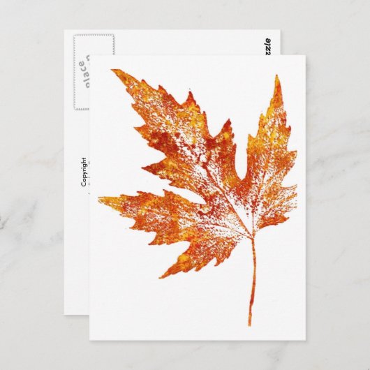 "Autumn Maple #1" Briefkaart voor landwegen (Voorkant / Achterkant)