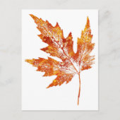 "Autumn Maple #1" Briefkaart voor landwegen (Voorkant)