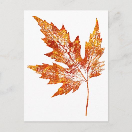 "Autumn Maple #1" Briefkaart voor landwegen (Voorkant)