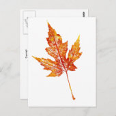 "Autumn Maple #2" Briefkaart voor landwegen (Voorkant / Achterkant)
