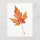 "Autumn Maple #2" Briefkaart voor landwegen (Voorkant)