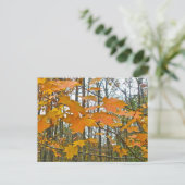 Autumn Maple Foliage Briefkaart (Staand voorkant)