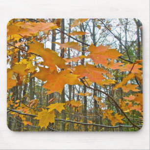 Autumn Maple Foliage Muismat