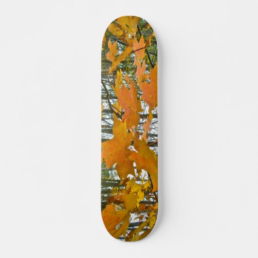 Autumn Maple Foliage Skateboard (Voorkant)